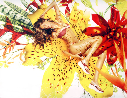photo 22 in Gisele Bundchen gallery [id85556] 2008-05-17 00:00:00